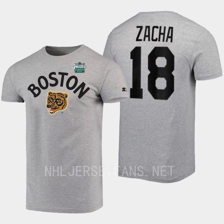 bruins pavel zacha grey logo 2023 winter classic t shirt